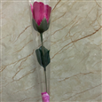 Hoa hồng 1 bông