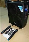 Loa kéo GV-339 ( 8 inch , 2 mic , 100W) bass 20