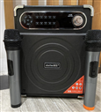 Loa Bluetooth Karaoke DAILE S55 (Kèm 2 micro không dây)