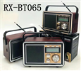 Đài FM Bluetooth/USB/TF GOLONE RX-BT065