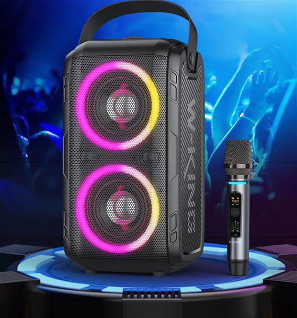 Loa Karaoke W-King T9 – Loa ngoài trời công suất cao 80W, đèn LED RGB