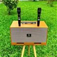 Loa Karaoke Xách Tay Nanomax X-20 Bass Đôi 20cm 380w