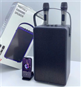 LOA BLUETOOTH KÈM 2 MICRO M5502