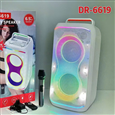 Loa Bluetooth Karaoke DR-6619 (Bass đôi 6.5, 1 Micro)