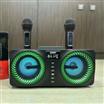 LOA BLUETOOTH KÈM 2 MICRO SDRD SD-218