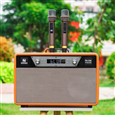LOA XÁCH TAY NANOMAX PS-16A (650W, 2 MICRO)
