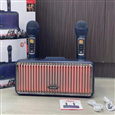Loa karaoke SDRD SD-319P